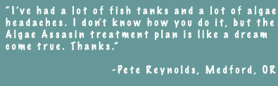 I've had a lot of fish tanks and a lot of algae headaches. I don't know how you do it, but the Algae Assesin treatment plan is like a dream come true. Thanks. - Pete Reynolds, Medford, OR